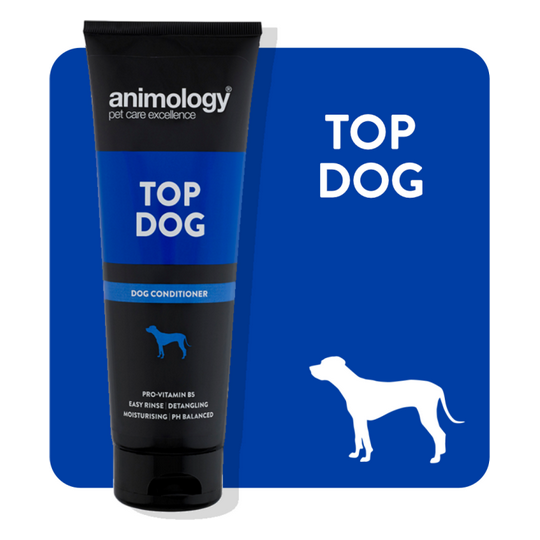 ANIMOLOGY TOP DOG CONDITIONER 250 ML